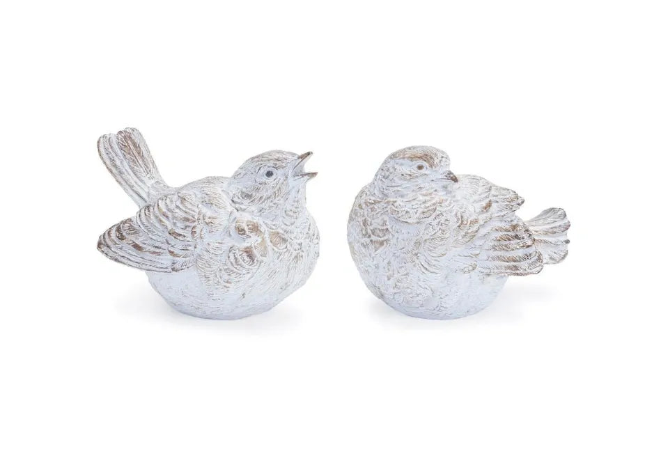 Set of Birds