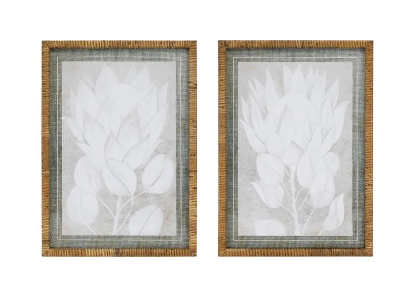 Framed Protea Print