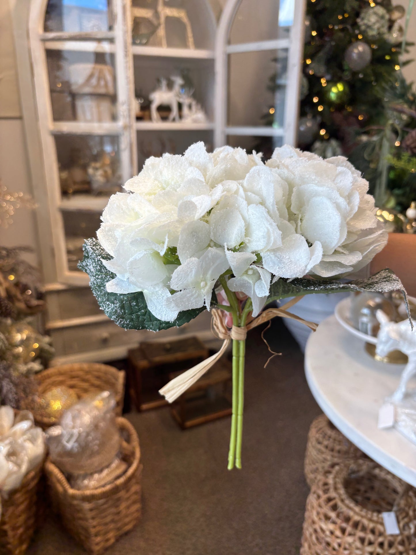 Snow Hydrangea Bundle
