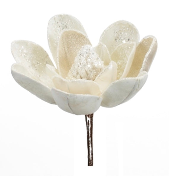Magnolia Stem