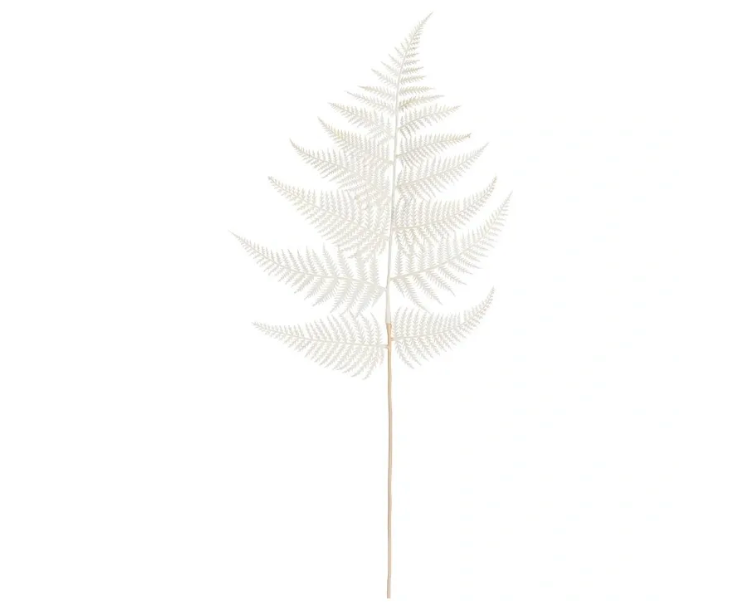 WHITE FERN SPRAY