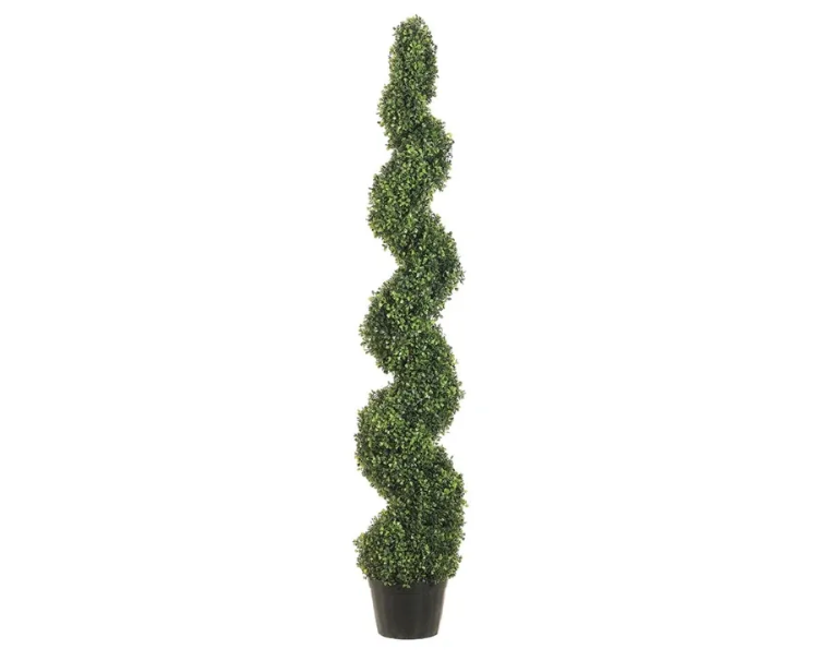 Boxwood Spiral Topiary