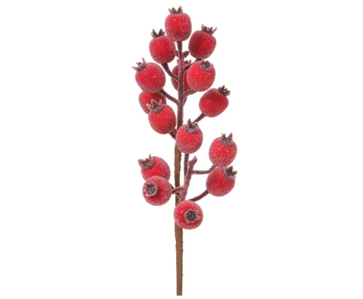 13" Rosehip Spray Red