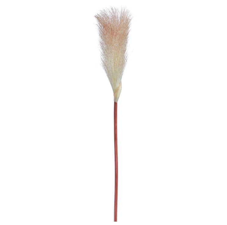 Red&White pampas grass