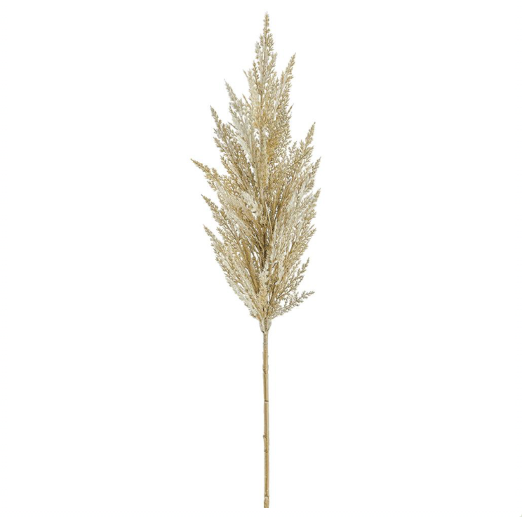 Gold Pampas Grass