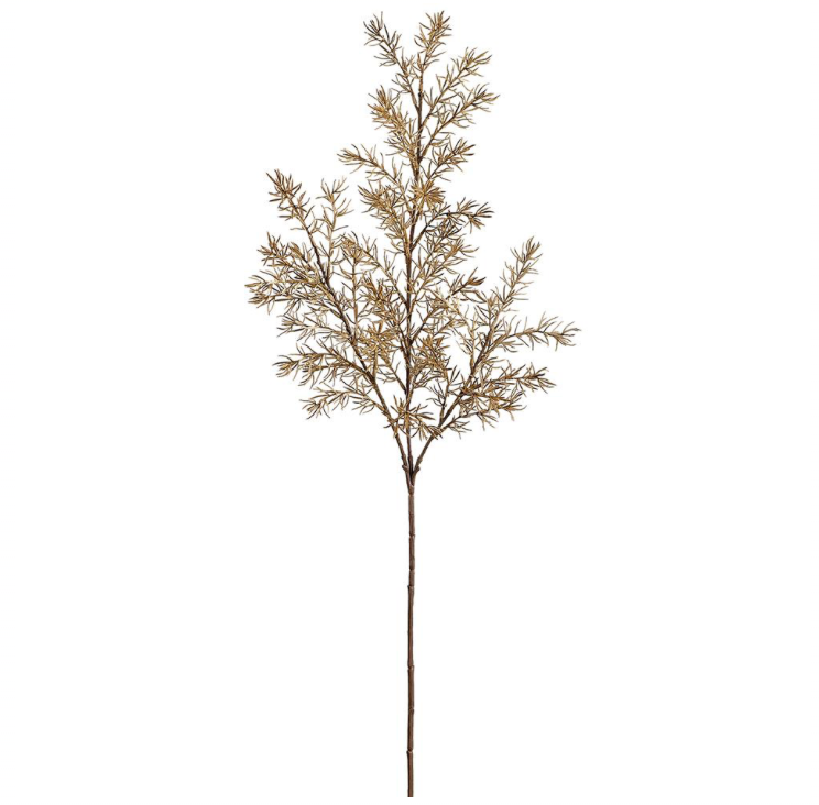 Beige Green Fern