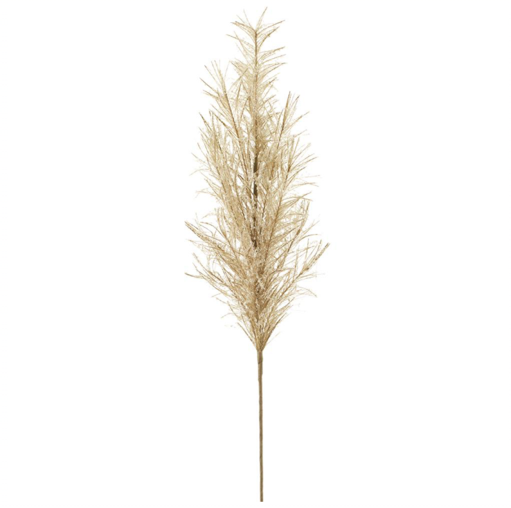 Beige Snowed Pampas Grass