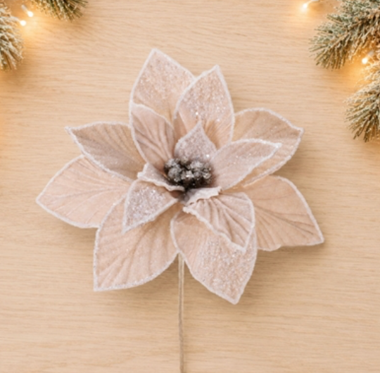 Poinsettia Stem