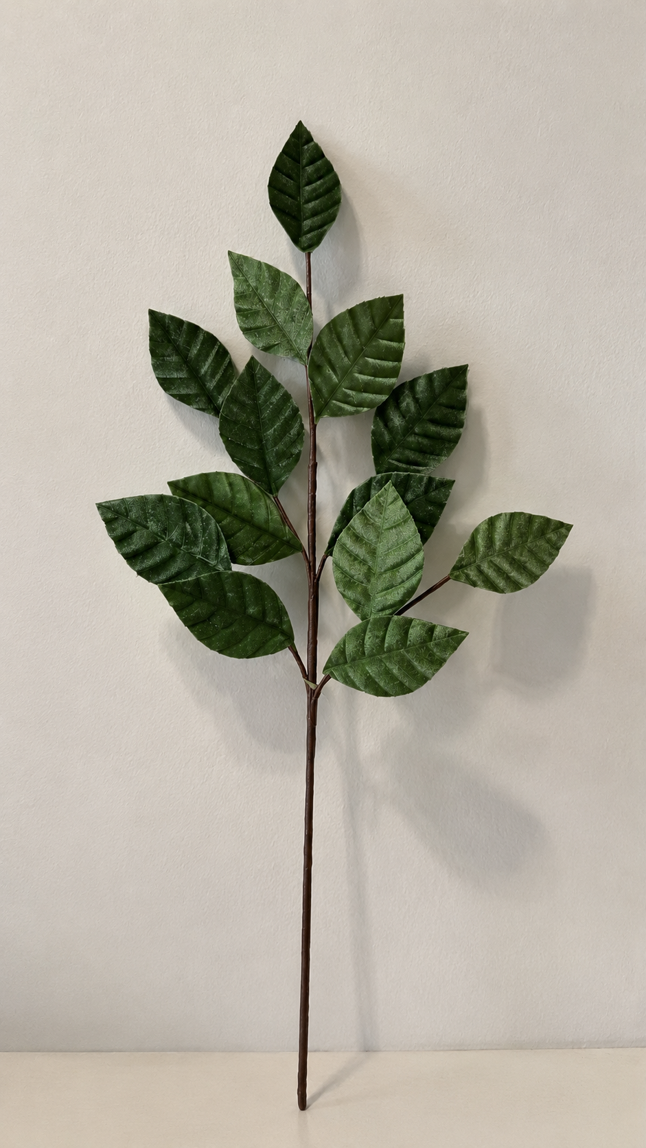 Green Velvet Leaves