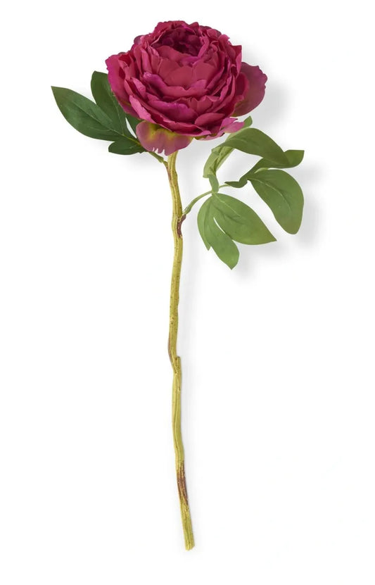 FUCHSIA PEONY STEM