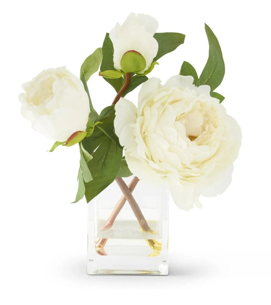 WHITE PEONY PREMADE IN SQUARE GLASS