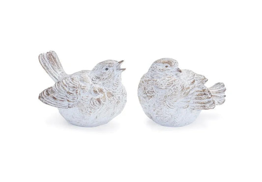 Set of Birds