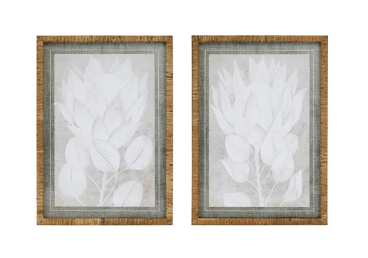 Framed Protea Print