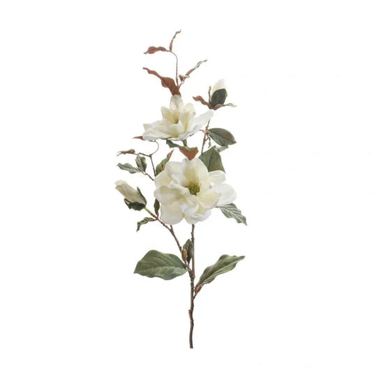 Magnolia Spray