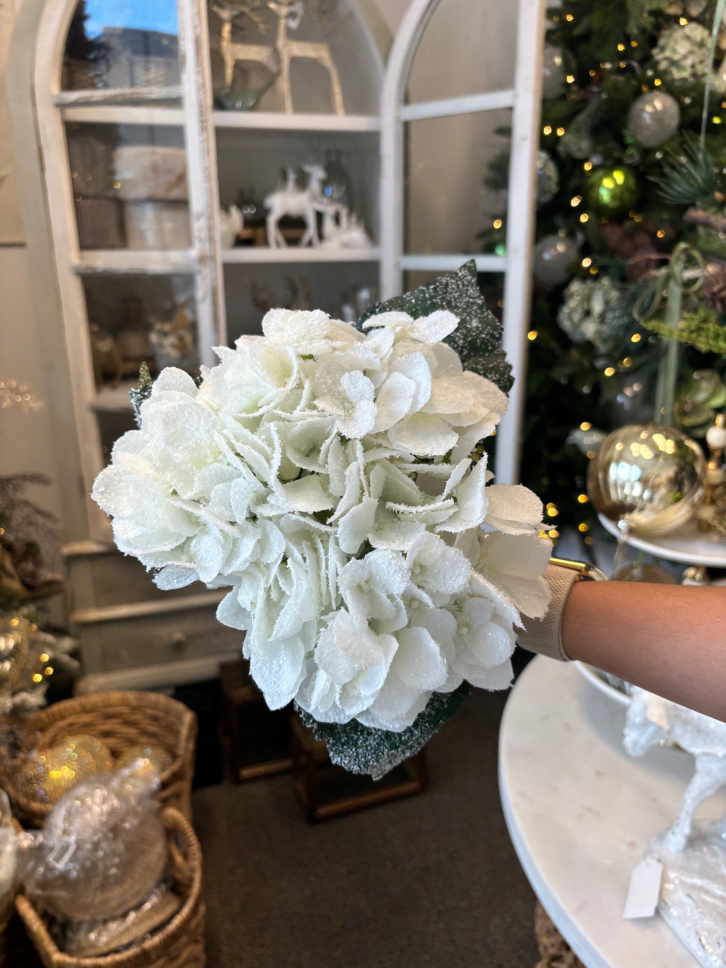 Snow Hydrangea Bundle