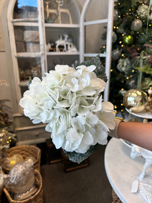 Snow Hydrangea Bundle