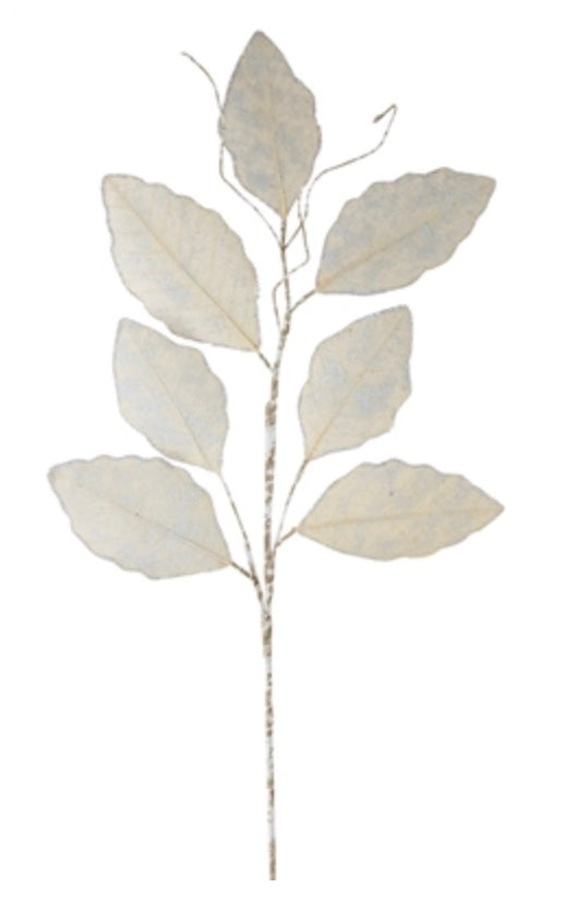 Magnolia Leaf Spray
