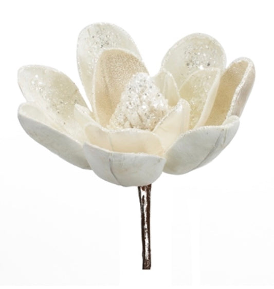 Magnolia Stem