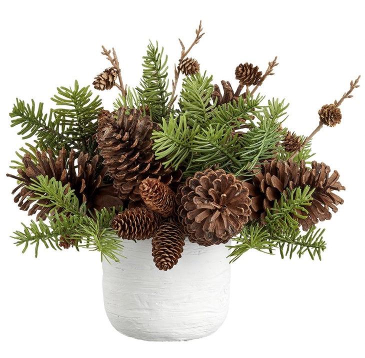Spruce/Pine Cone in Terra Cotta Pot Green Brown