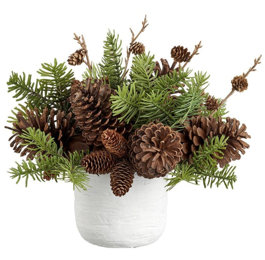 Spruce/Pine Cone in Terra Cotta Pot Green Brown