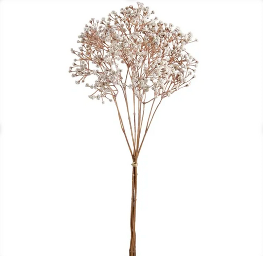 Dry-Look Gypsophila Bundle