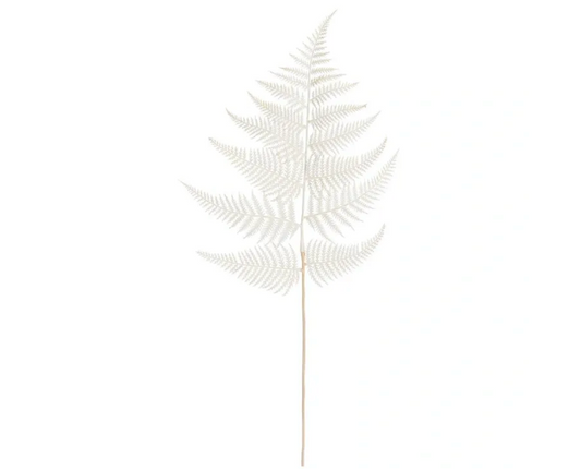 WHITE FERN SPRAY