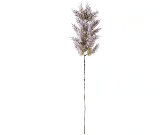 Pampas Grass Spray Gray