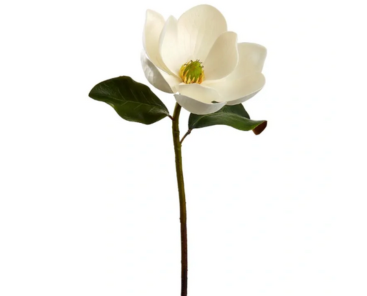 MAGNOLIA SPRAY