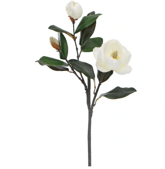 MAGNOLIA SPRAY