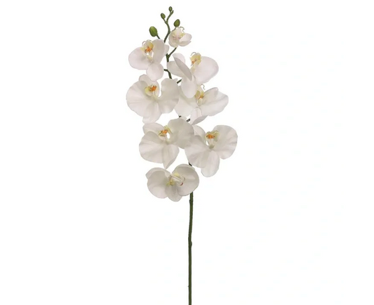 PHALAENOPSIS ORCHID SPRAY