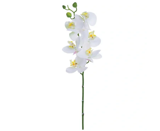 PHALAENOPSIS ORCHID SPRAY