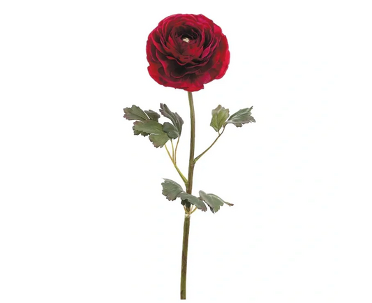 RED RANANCULUS SPRAY