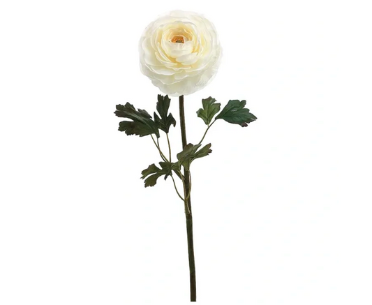 WHITE RANANCULUS SPRAY
