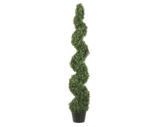 Boxwood Spiral Topiary