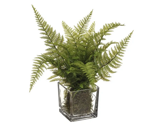 Leather Fern in Glass Vase