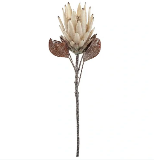 28.5" Glittered Protea Spray Cream