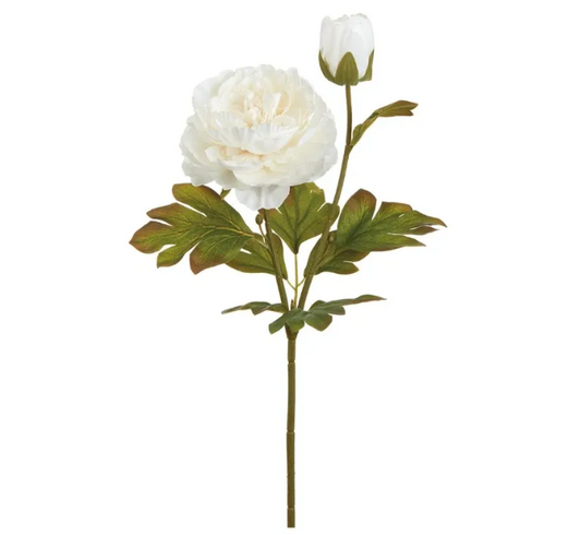 22.5" Peony Spray Cream
