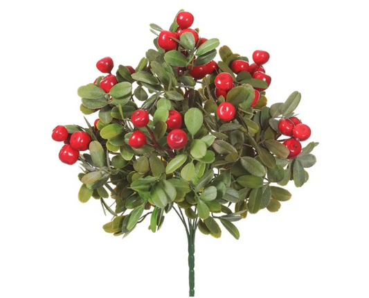 13" Crabapple Bush Red Green