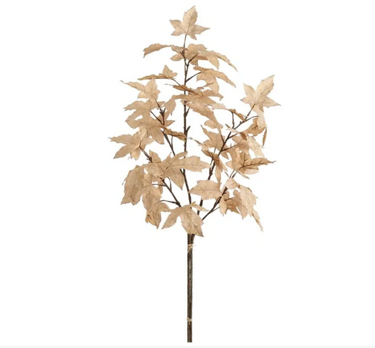 34" Maple Leaf Bundle x2 Tan