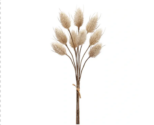 14" Hare's Tail Bundle x3 Beige