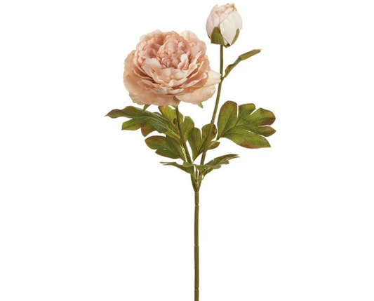 22.5" Peony Spray Camel