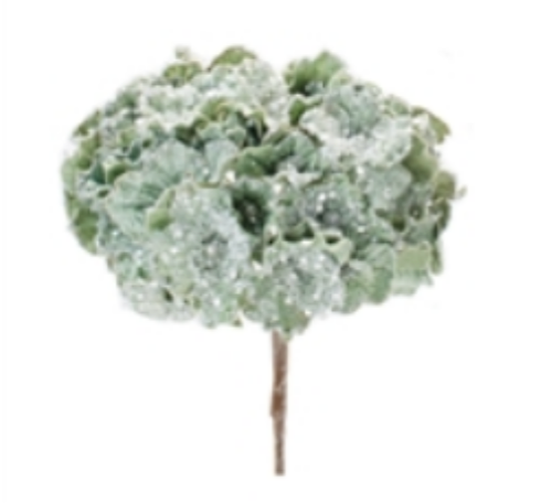 Hydrangea Stem