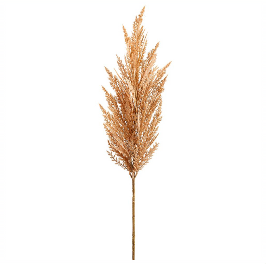 Rose Gold Pampas Grass