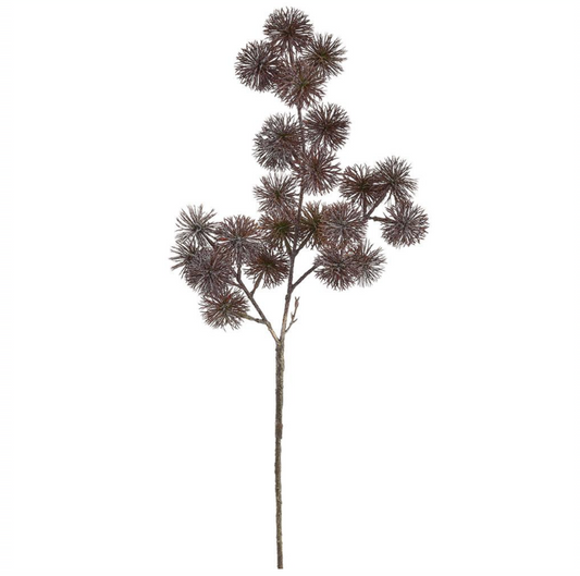 Dark Brown PomPom