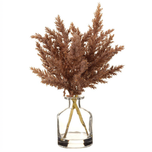 Pampas in Glass Vase