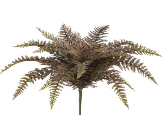 Green Fern Bush