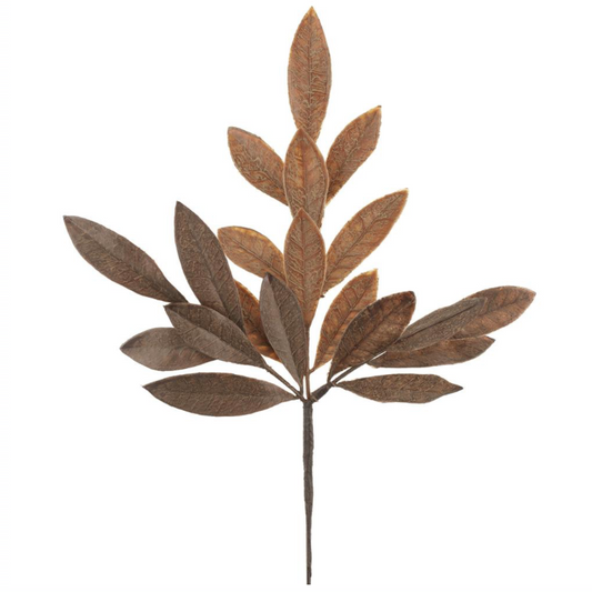Brown Two Tone Leaf