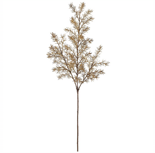 Beige Green Fern