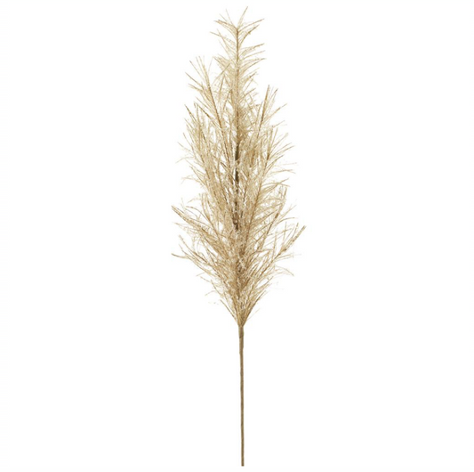 Beige Snowed Pampas Grass