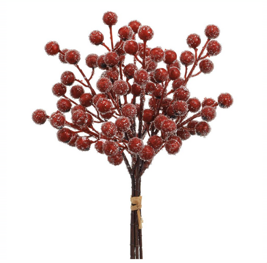 Red Iced Berry Bundle